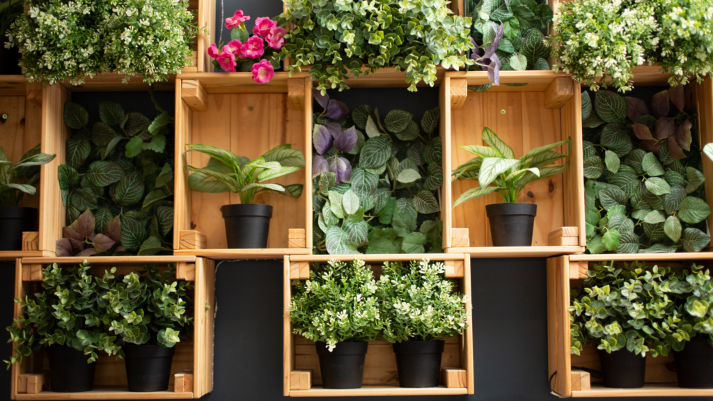 Wall mounted plant shelves